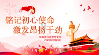 彩虹生日蛋糕